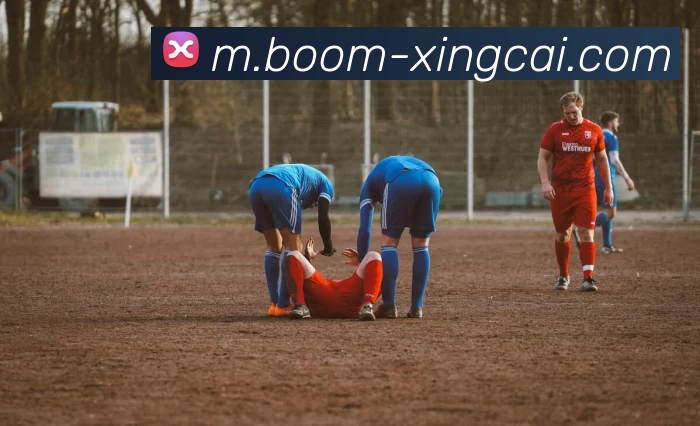 杏彩体育服务体系