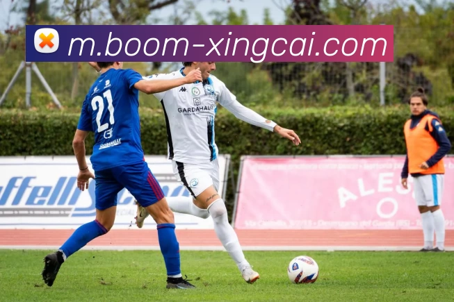 杏彩体育APP 体育赛事宣传图